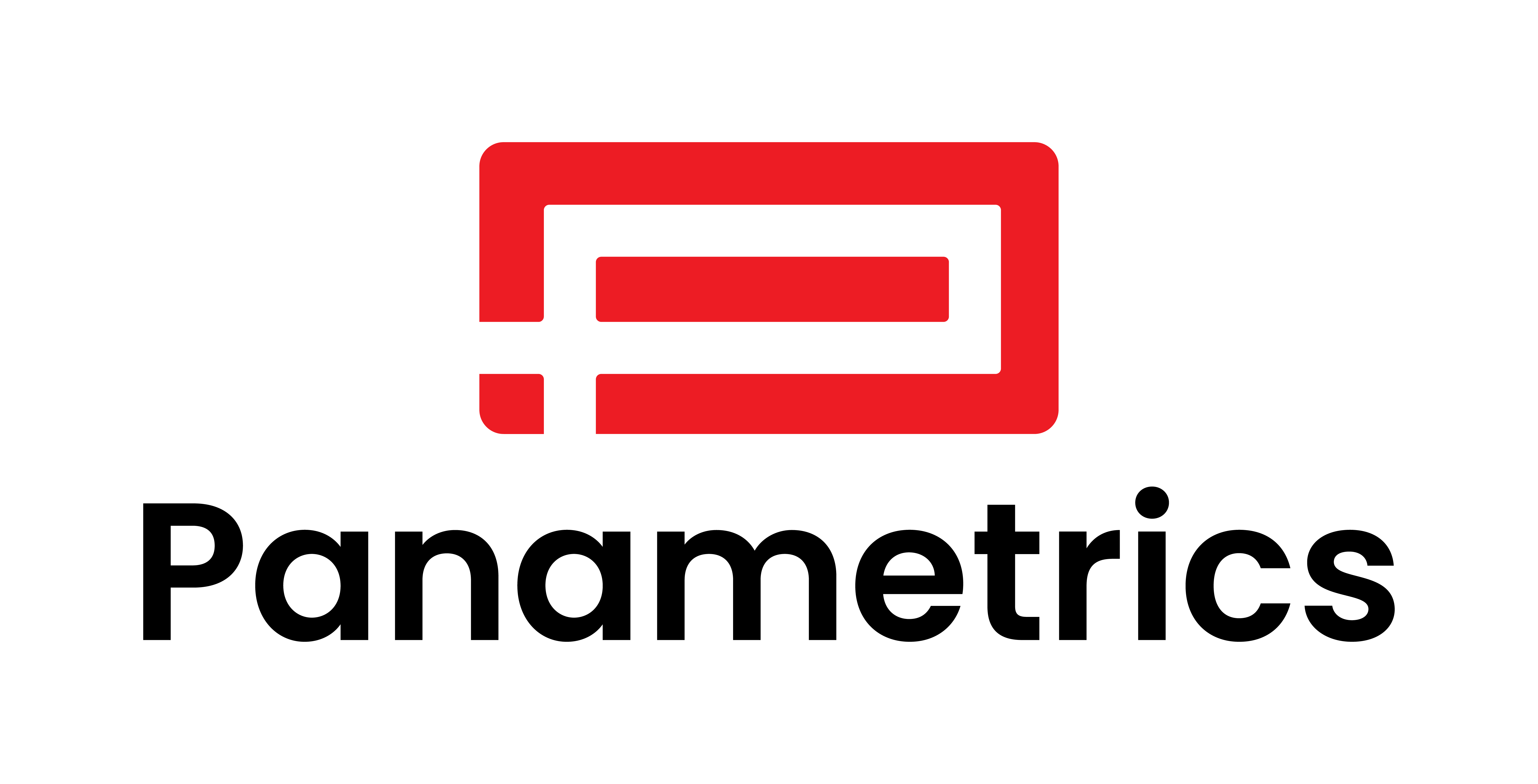 Panametrics Flow & Process Analysers